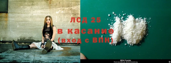 прущие грибы Зеленокумск
