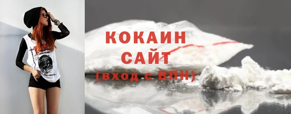прущие грибы Зеленокумск