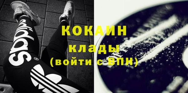 прущие грибы Зеленокумск