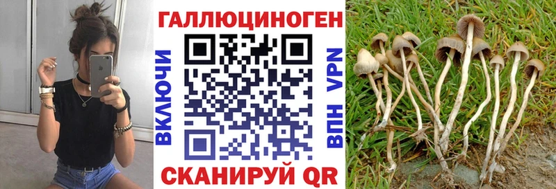 Псилоцибиновые грибы Magic Shrooms  купить  сайты  Орёл 