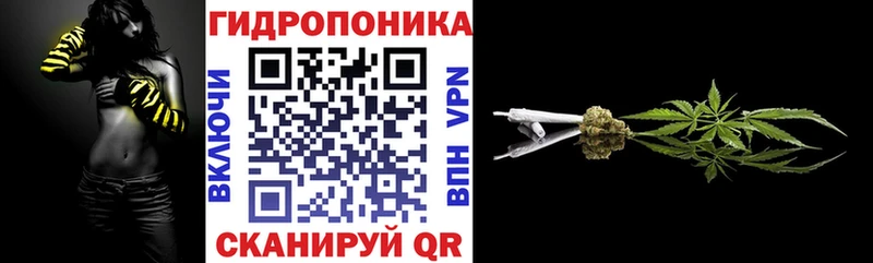 Шишки марихуана гибрид Орёл